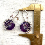 Amethyst fossil earrings